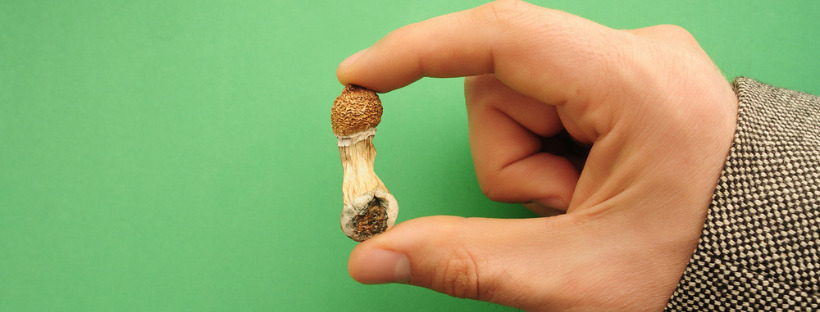 magic mushrooms gram