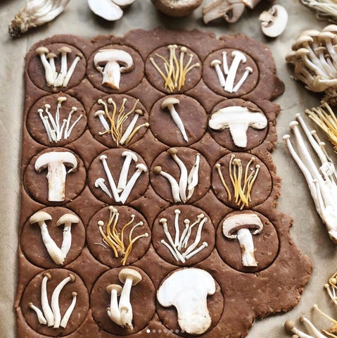 magic mushrooms chocolate bars