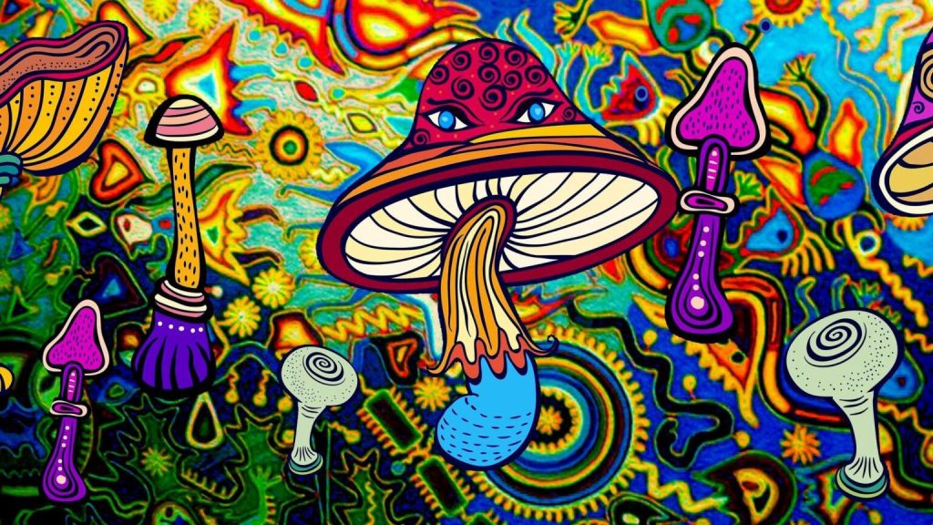 Magic Mushrooms online