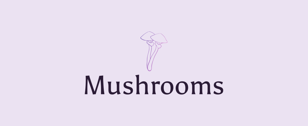 where can i buy magic mushrooms