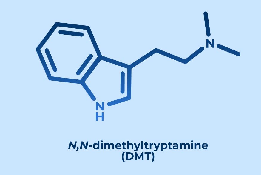 dimethyltryptamine