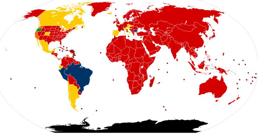 Magic Mushroom Map