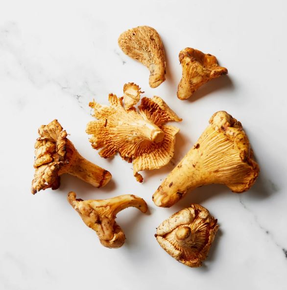 Chanterelle Mushroom uk