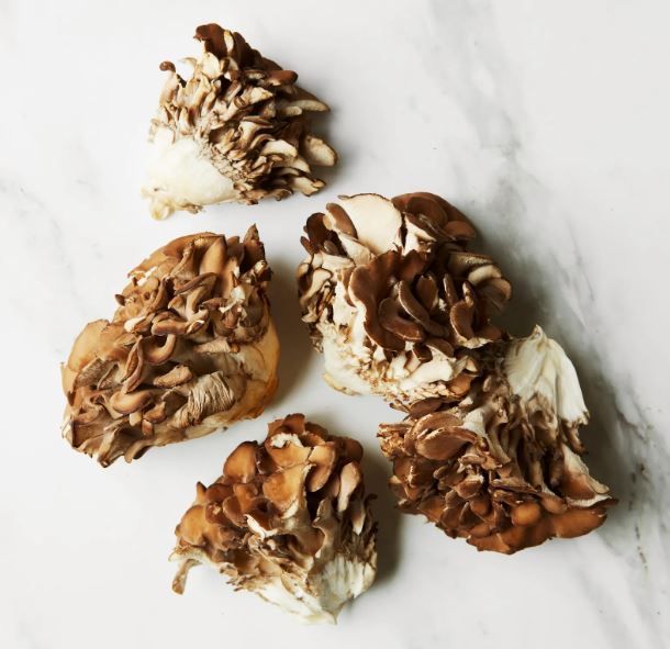 Maitake Mushroom uk