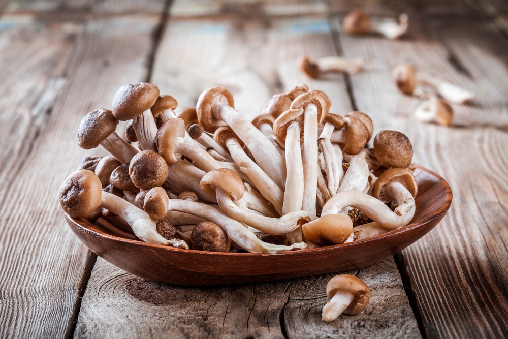 Shimeji Mushrooms uk