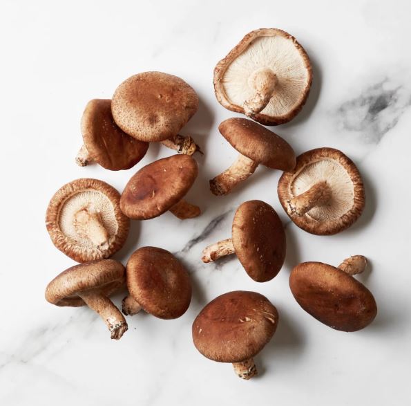 Shiitake Mushroom uk